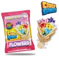 candy-gangs-build-blox-flowers (1).jpg