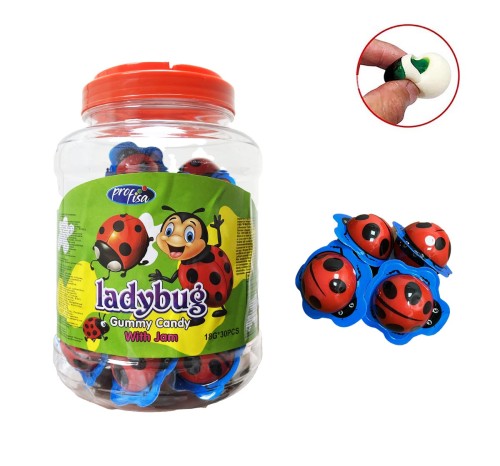 ladybug.jpg